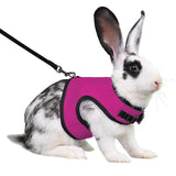 Mesh Breathable Harness & Leash Set — Summer Walking Gear for Rabbits & Ferrets