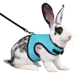 Mesh Breathable Harness & Leash Set — Summer Walking Gear for Rabbits & Ferrets