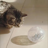 Hamster Exercise Ball — Safe Running Ball for Small Pets