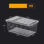 Acrylic & Plastic Reptile Breeding Box — Ventilated Habitat for Spiders & Small Pets