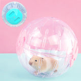 Hamster Exercise Ball — Safe Running Ball for Small Pets
