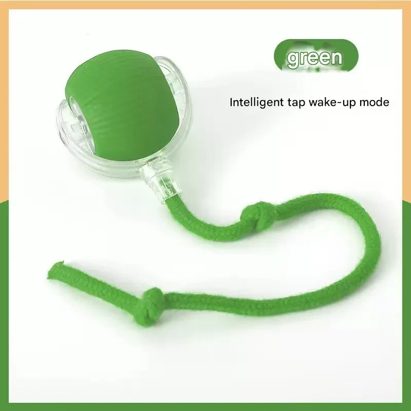 Interactive Pet Toy Ball for Cats & Dogs — Fun Boredom-Relief Pet Supply