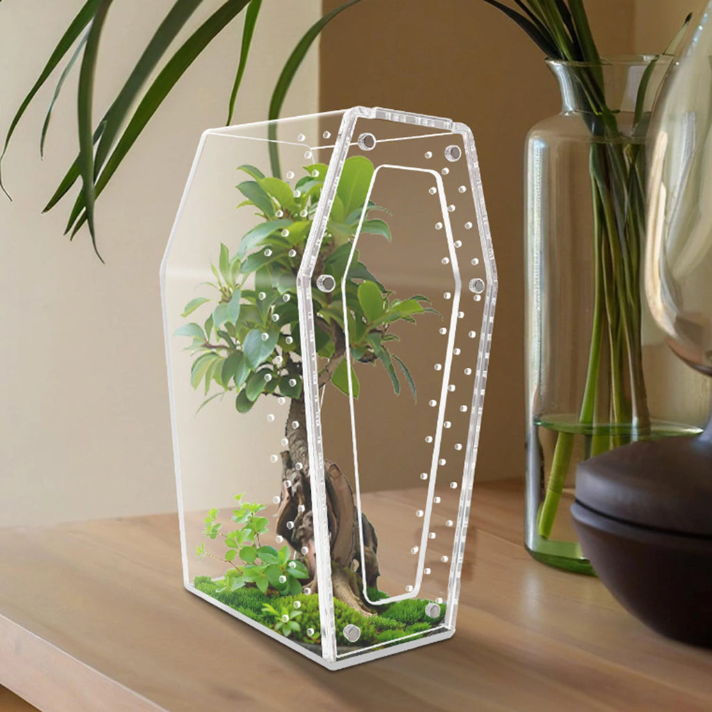 Acrylic & Plastic Reptile Breeding Box — Ventilated Habitat for Spiders & Small Pets