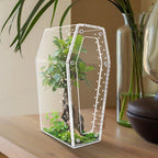 Acrylic & Plastic Reptile Breeding Box — Ventilated Habitat for Spiders & Small Pets