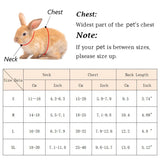 Mesh Breathable Harness & Leash Set — Summer Walking Gear for Rabbits & Ferrets