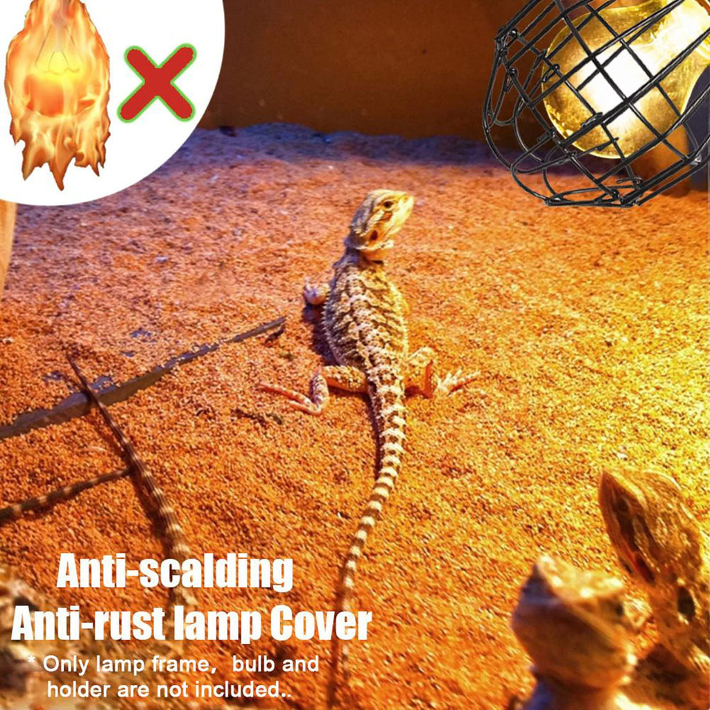 Anti-Scald Heat Lamp Guard — Protective Mesh Cover for Reptile Heating Bulbs