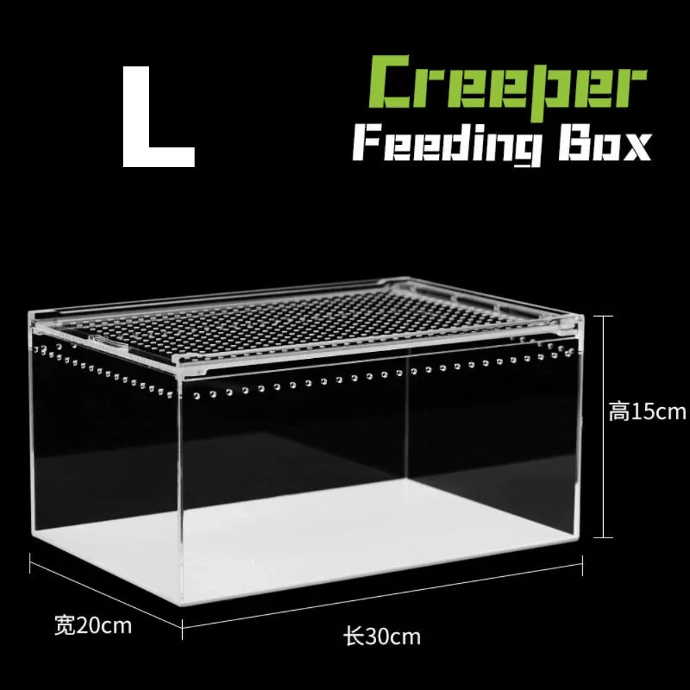 Acrylic & Plastic Reptile Breeding Box — Ventilated Habitat for Spiders & Small Pets