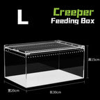 Acrylic & Plastic Reptile Breeding Box — Ventilated Habitat for Spiders & Small Pets