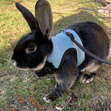 Mesh Breathable Harness & Leash Set — Summer Walking Gear for Rabbits & Ferrets