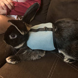 Mesh Breathable Harness & Leash Set — Summer Walking Gear for Rabbits & Ferrets