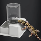 Automatic Reptile Water Dispenser — Compact Refilling Water Station for Geckos & Chameleons