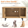 Sliding-Door Wooden Litter Box End Table with Drawer