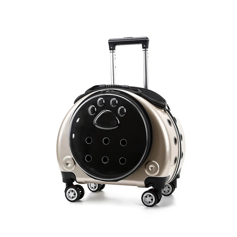 Transparent Space Capsule Pet Backpack Carrier — Large Capacity Multi-Purpose Outdoor Bag for Cats & Dogs