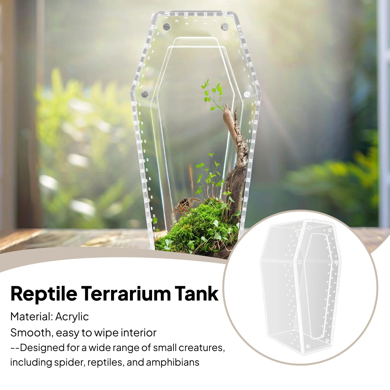 Acrylic & Plastic Reptile Breeding Box — Ventilated Habitat for Spiders & Small Pets