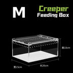 Acrylic & Plastic Reptile Breeding Box — Ventilated Habitat for Spiders & Small Pets
