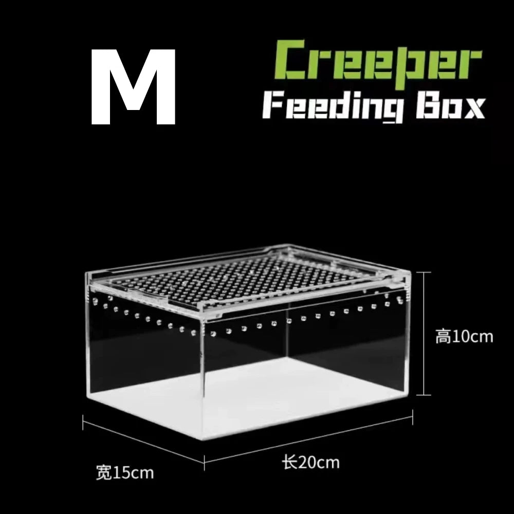 Acrylic & Plastic Reptile Breeding Box — Ventilated Habitat for Spiders & Small Pets