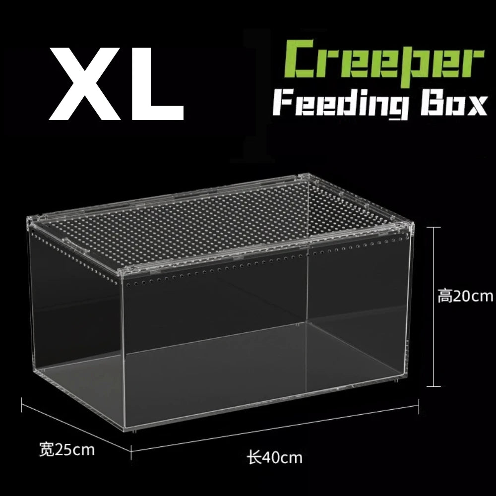 Acrylic & Plastic Reptile Breeding Box — Ventilated Habitat for Spiders & Small Pets