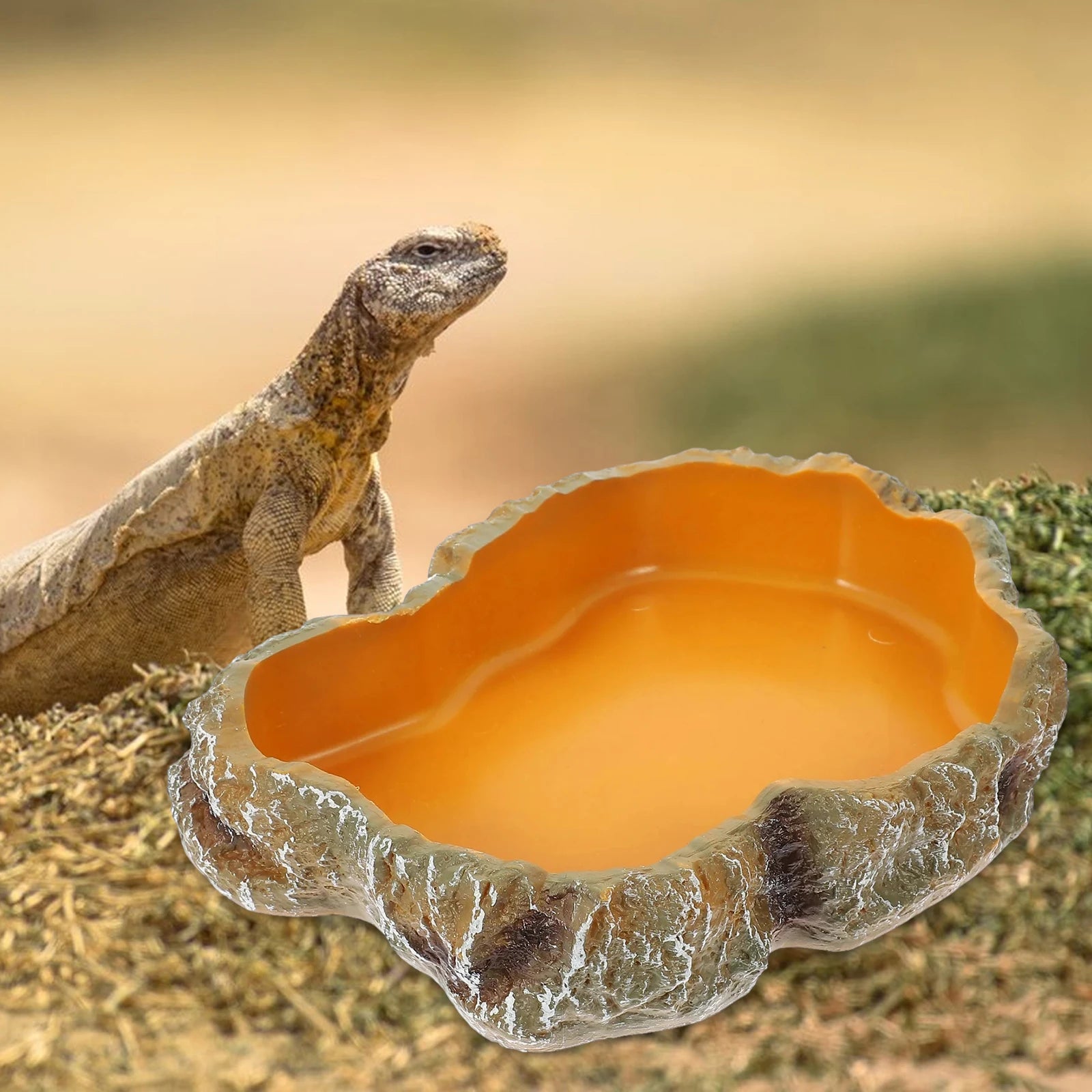 Resin Rock Terrarium Water & Food Bowl — Natural-Look Reptile Feeder