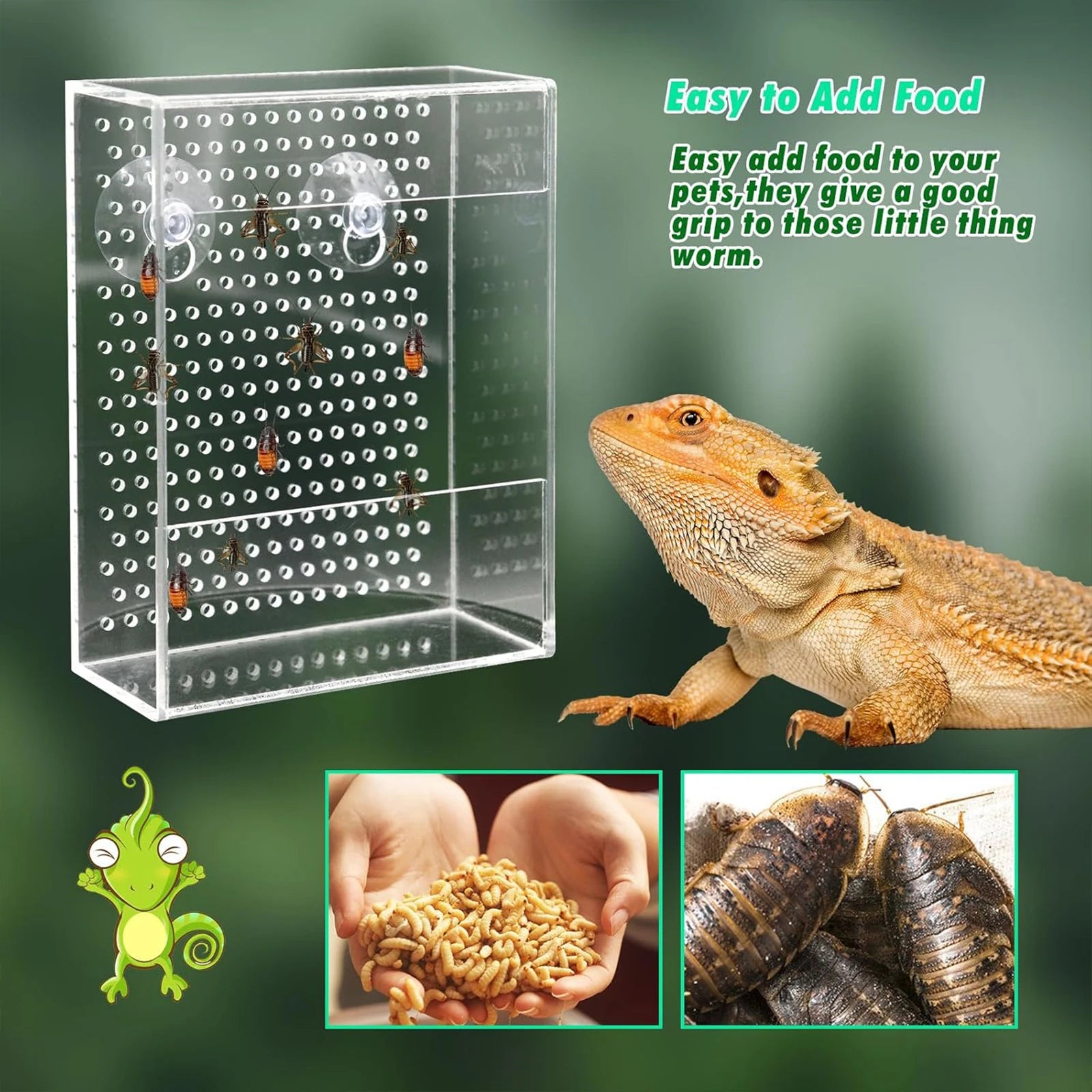 Wall-Mounted Acrylic Reptile Feeder — Suction Cup Feeding Box
