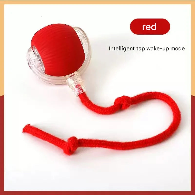 Interactive Pet Toy Ball for Cats & Dogs — Fun Boredom-Relief Pet Supply