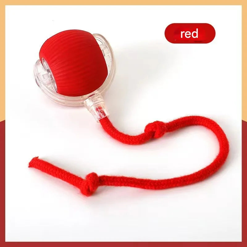 Interactive Pet Toy Ball for Cats & Dogs — Fun Boredom-Relief Pet Supply