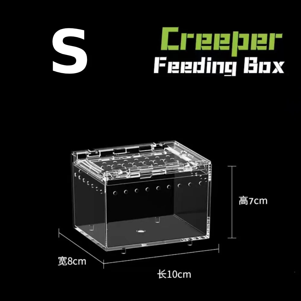 Acrylic & Plastic Reptile Breeding Box — Ventilated Habitat for Spiders & Small Pets