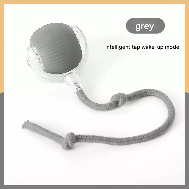 Interactive Pet Toy Ball for Cats & Dogs — Fun Boredom-Relief Pet Supply