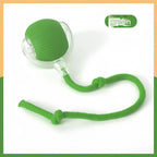Interactive Pet Toy Ball for Cats & Dogs — Fun Boredom-Relief Pet Supply