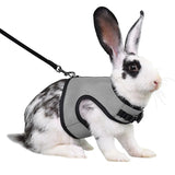 Mesh Breathable Harness & Leash Set — Summer Walking Gear for Rabbits & Ferrets