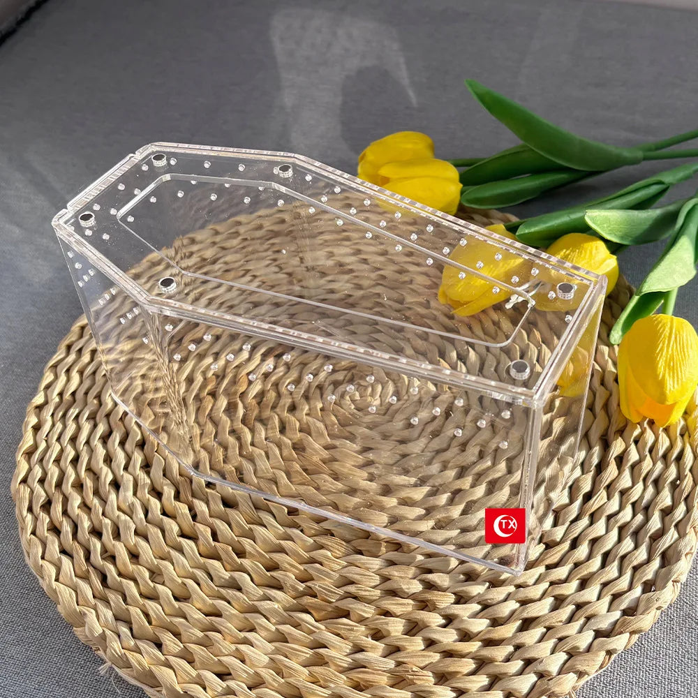 Acrylic & Plastic Reptile Breeding Box — Ventilated Habitat for Spiders & Small Pets