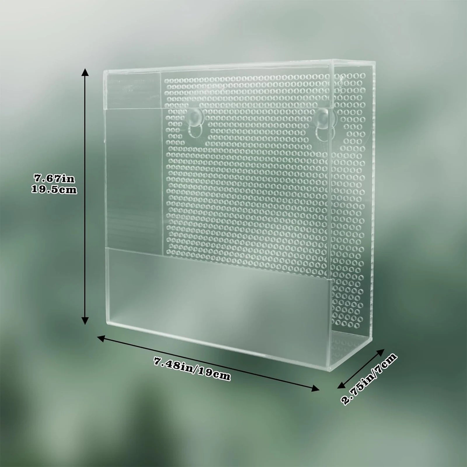Wall-Mounted Acrylic Reptile Feeder — Suction Cup Feeding Box