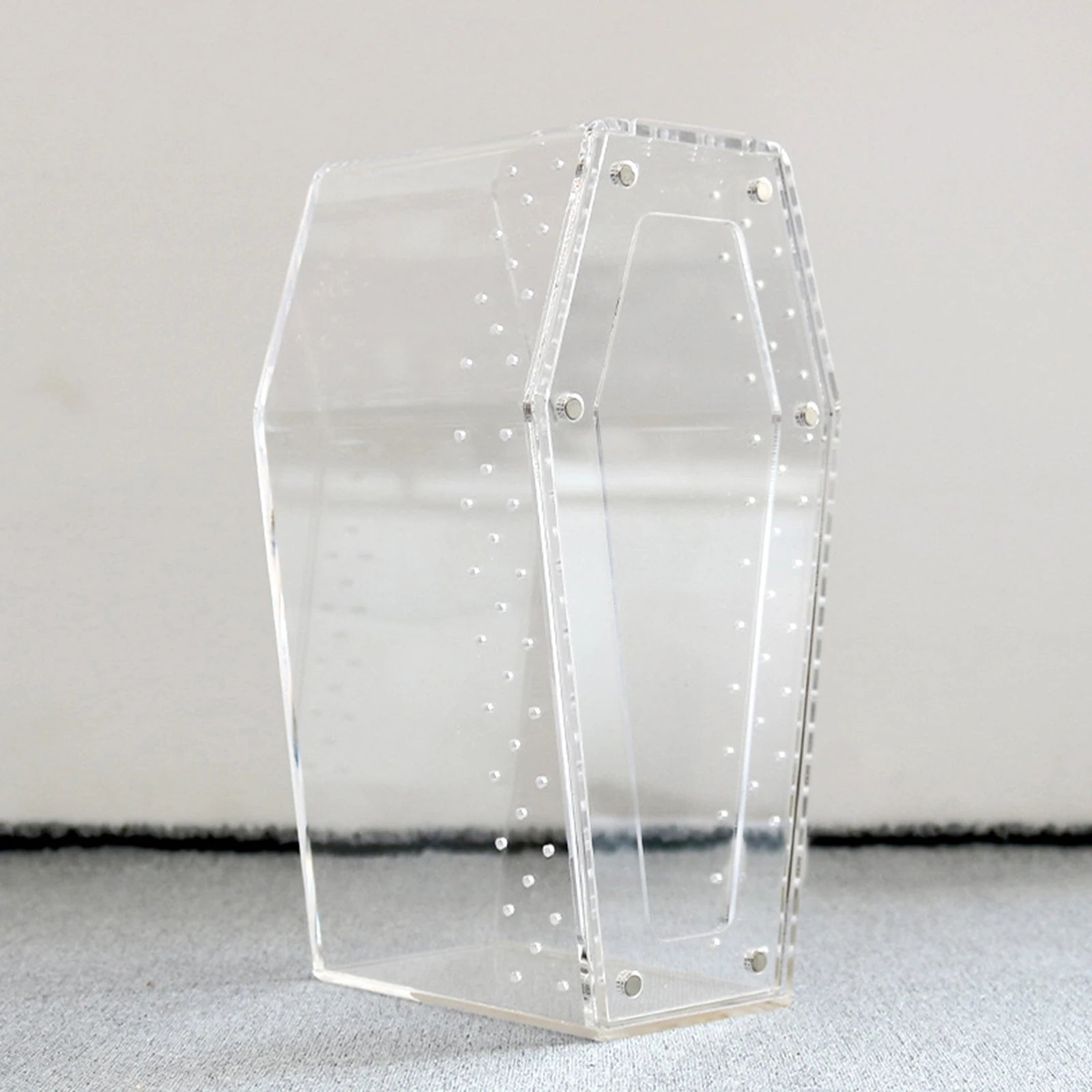 Acrylic & Plastic Reptile Breeding Box — Ventilated Habitat for Spiders & Small Pets