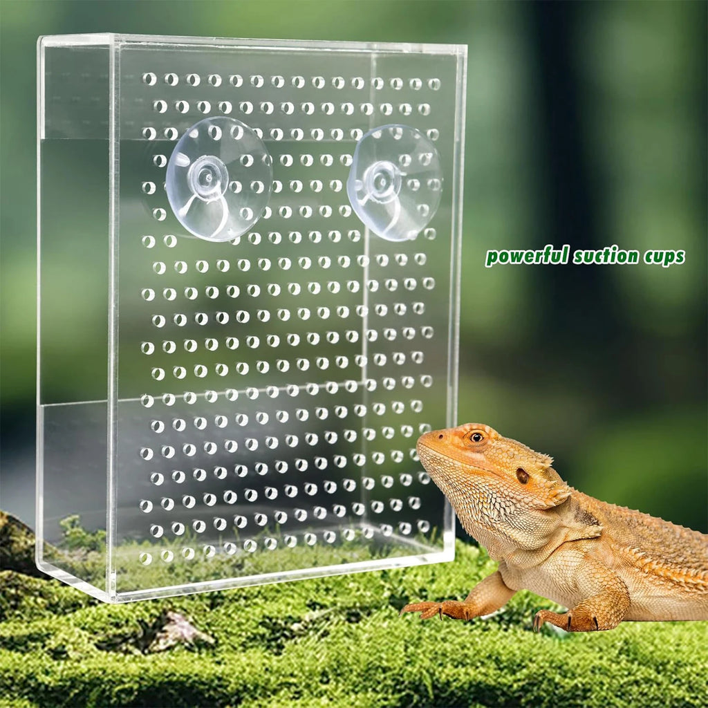 Wall-Mounted Acrylic Reptile Feeder — Suction Cup Feeding Box