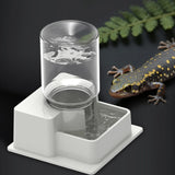 Automatic Reptile Water Dispenser — Compact Refilling Water Station for Geckos & Chameleons