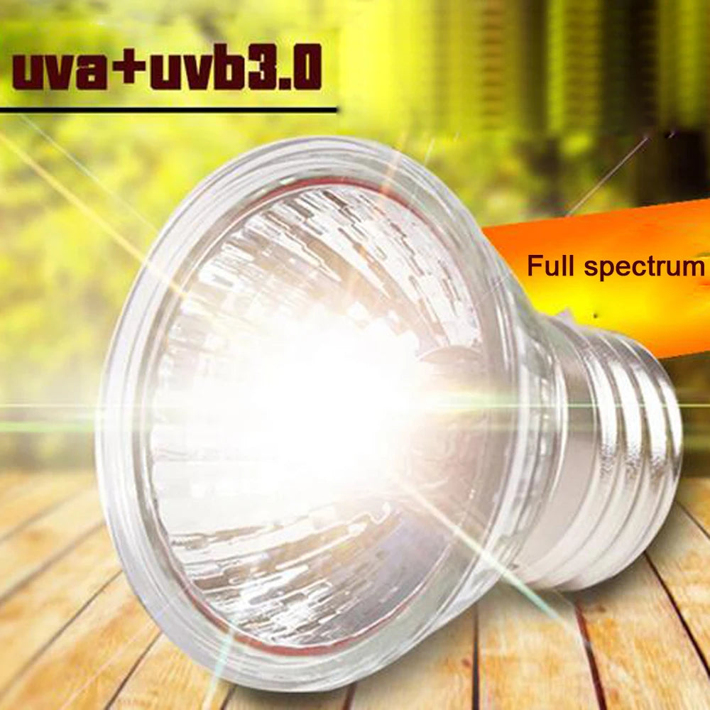 UVA/UVB Basking Lamp Kit — Clip-On Holder, Bulb & Thermometer-Hygrometer