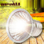 UVA/UVB Basking Lamp Kit — Clip-On Holder, Bulb & Thermometer-Hygrometer