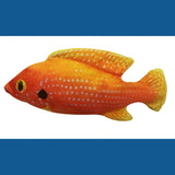 Electric USB Floppy Fish Cat Toy — Motion-Activated Catnip Toy