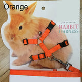 Soft Rabbit Harness & Leash Set — Adjustable Traction Rope with Bell