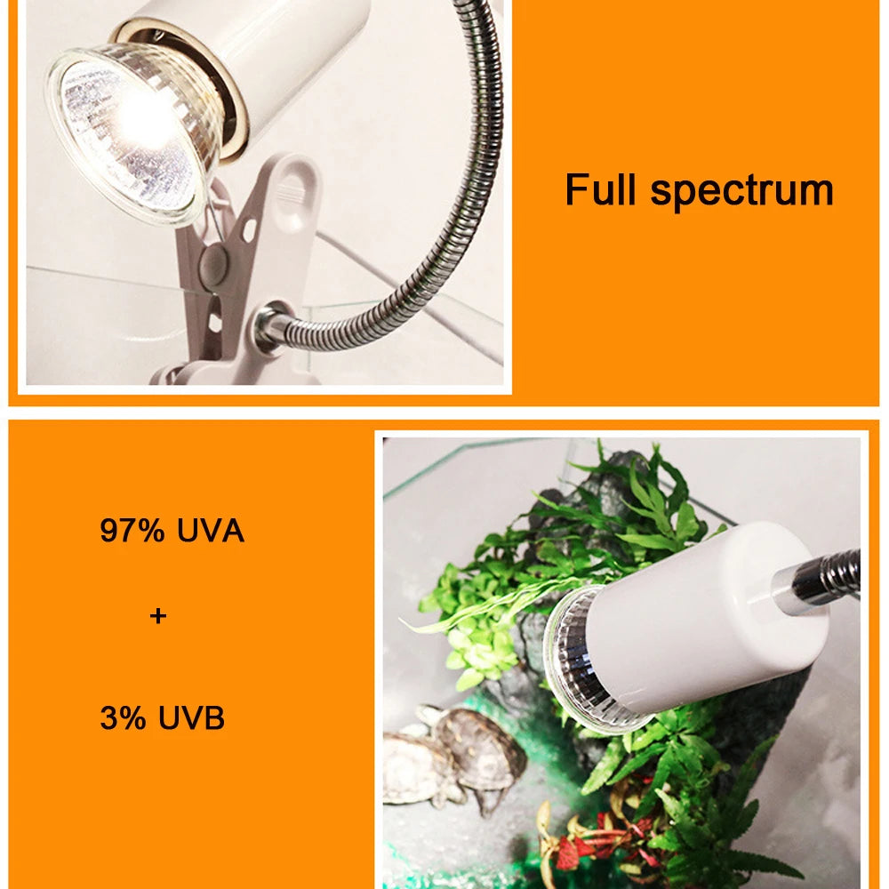 UVA/UVB 3.0 Basking Bulb — Reptile Heat & Light for Tortoises & Lizards