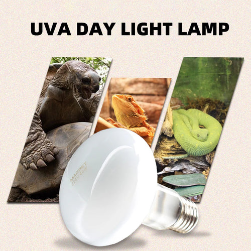 UVA/UVB Reptile Heat Lamp with Temperature Controller — 25W–100W, 220V