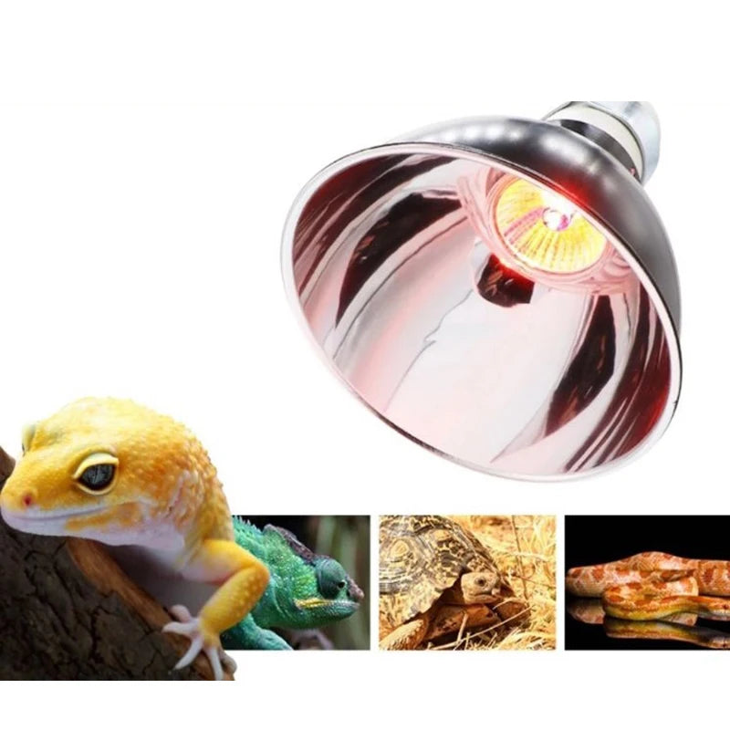 300W Dome Reptile Lamp Fixture — Aluminum Reflector Heat Lamp Stand, E27