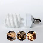 UVB Calcium Lamp — 26W E27 Compact Bulb, UVB 5.0 or 10.0
