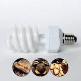 UVB Calcium Lamp — 26W E27 Compact Bulb, UVB 5.0 or 10.0