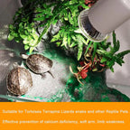 UVA/UVB 3.0 Basking Bulb — Reptile Heat & Light for Tortoises & Lizards