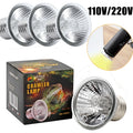 UVA/UVB 3.0 Basking Bulb — Reptile Heat & Light for Tortoises & Lizards