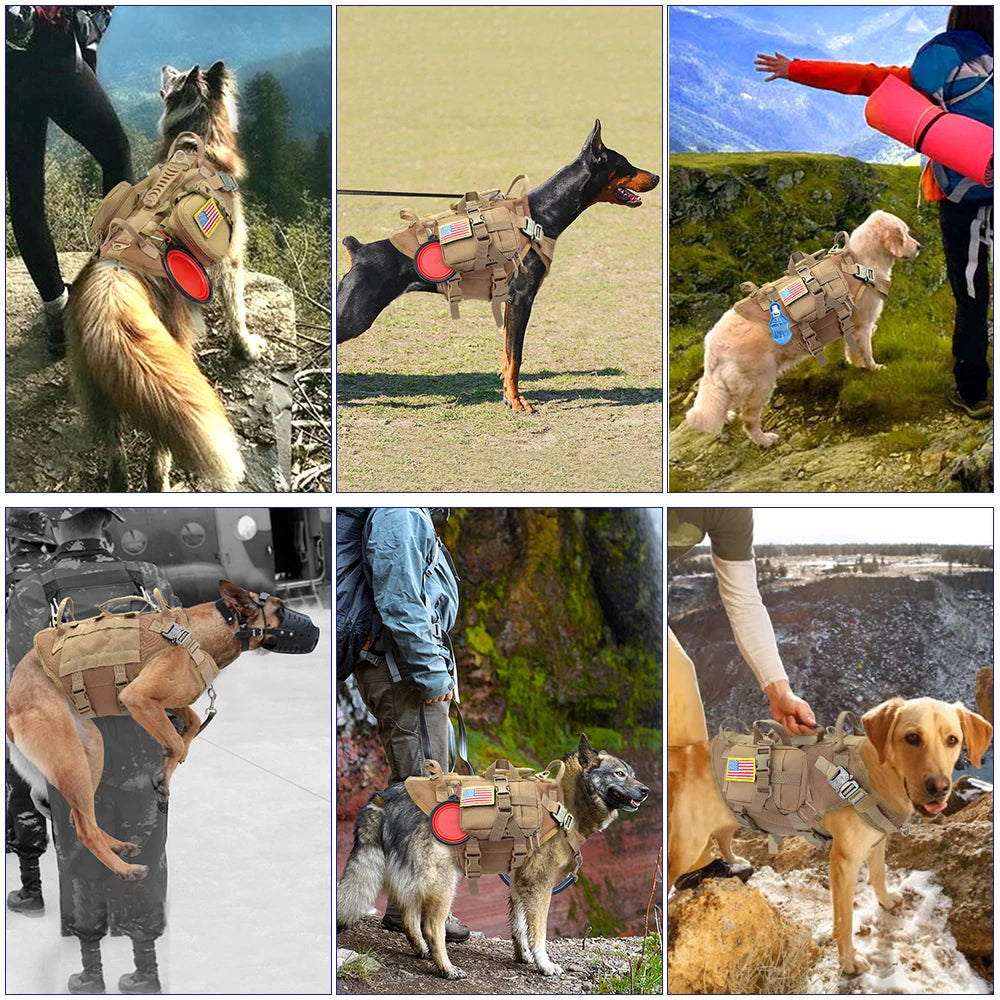 Tactical MOLLE Dog Harness