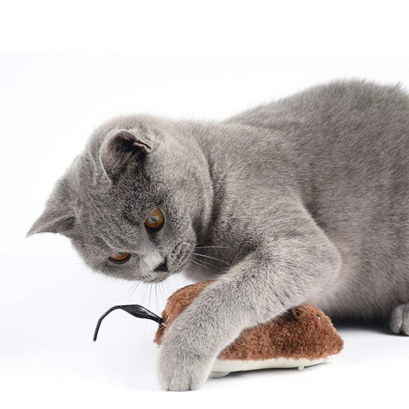 Plush Running Rat Toy — Motorized Chase Toy for Cats & Dogs