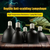 Anti-Scald Reptile Lamp Dome — Protective E27 Fixture, 300W Max