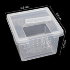 Mini Plastic Rearing Box (2-Pack) — Transparent Habitat for Spiders, Scorpions & Insects