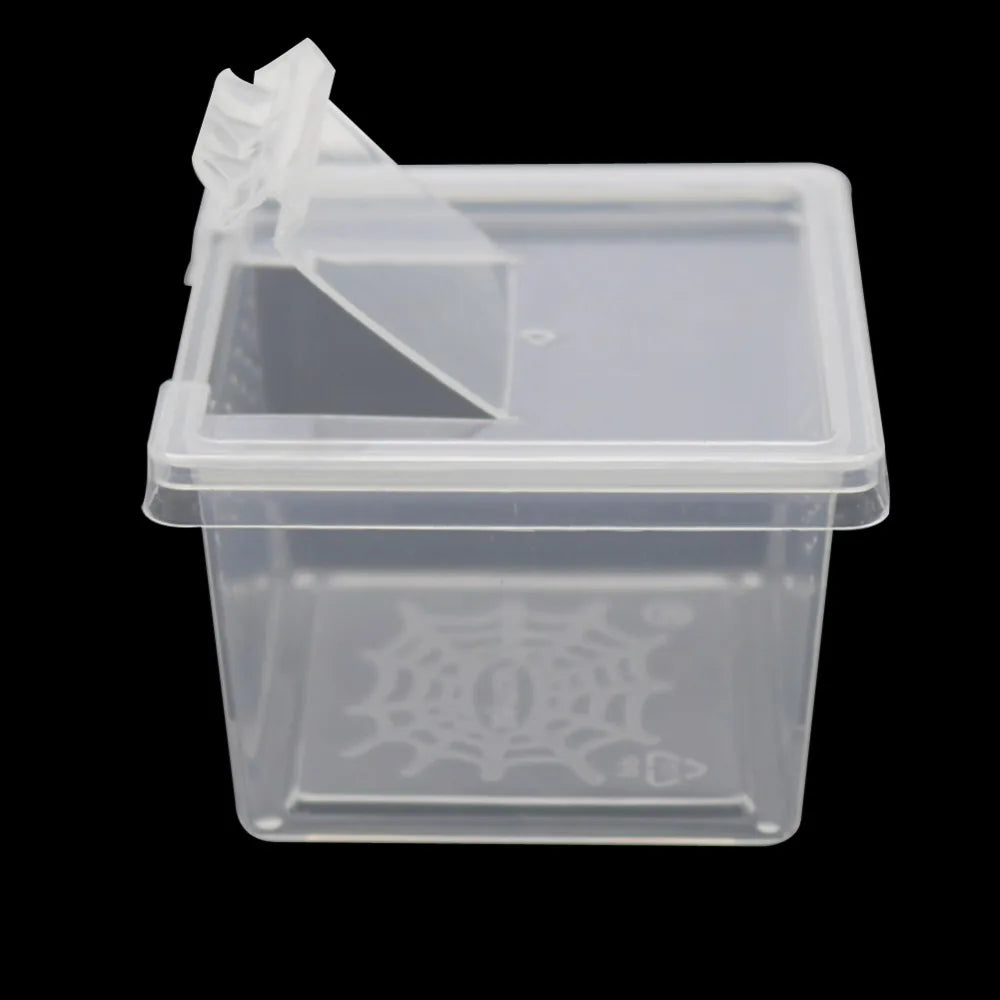 Mini Plastic Rearing Box (2-Pack) — Transparent Habitat for Spiders, Scorpions & Insects